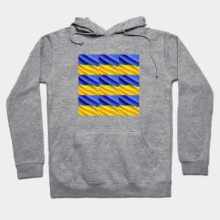 Ukraine Flag Hoodie